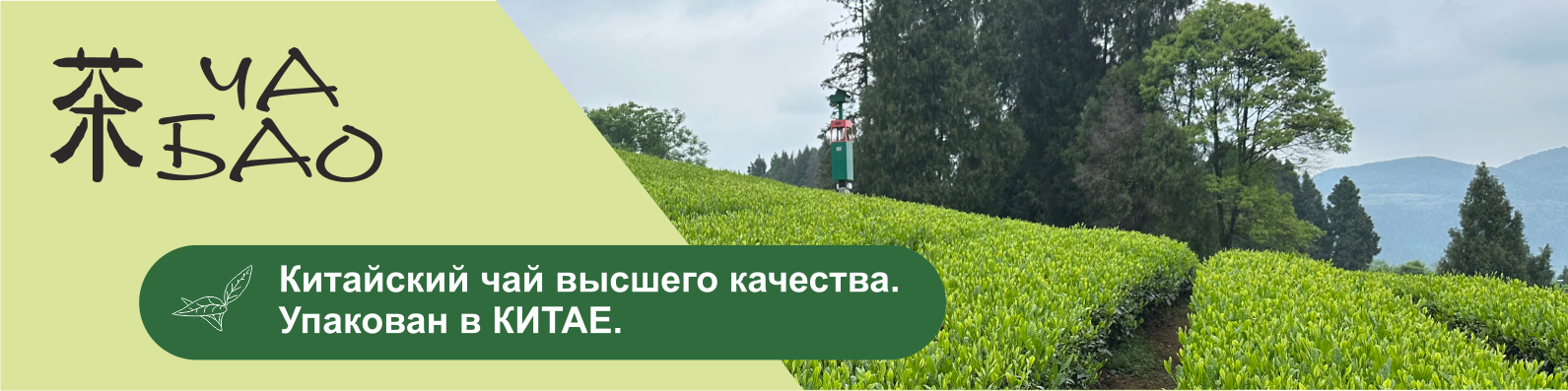 Китайский чай в упаковке